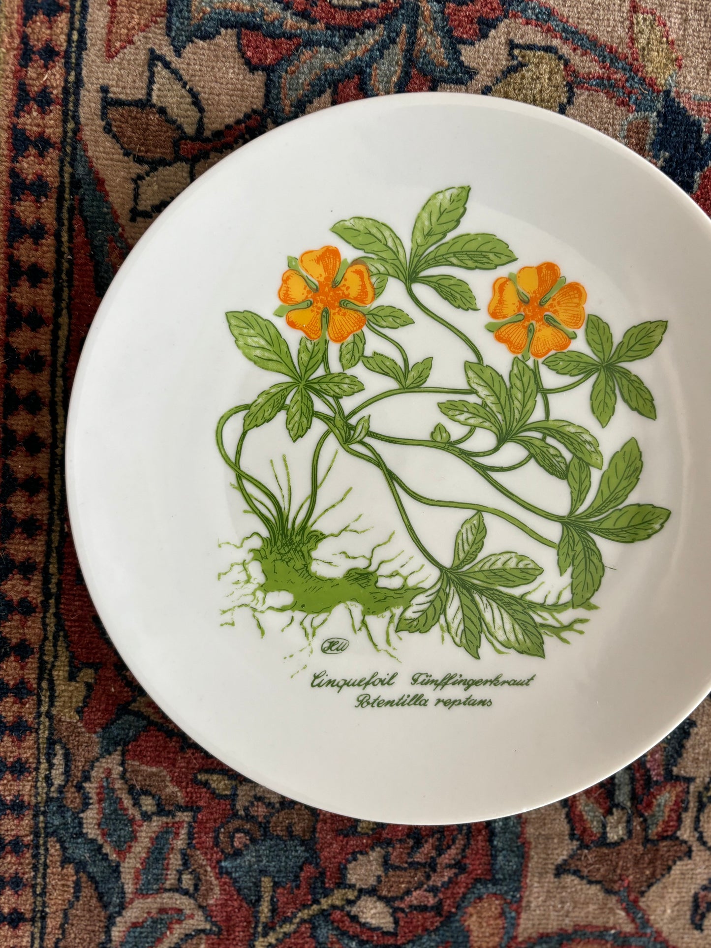 Cinquefolia Plate