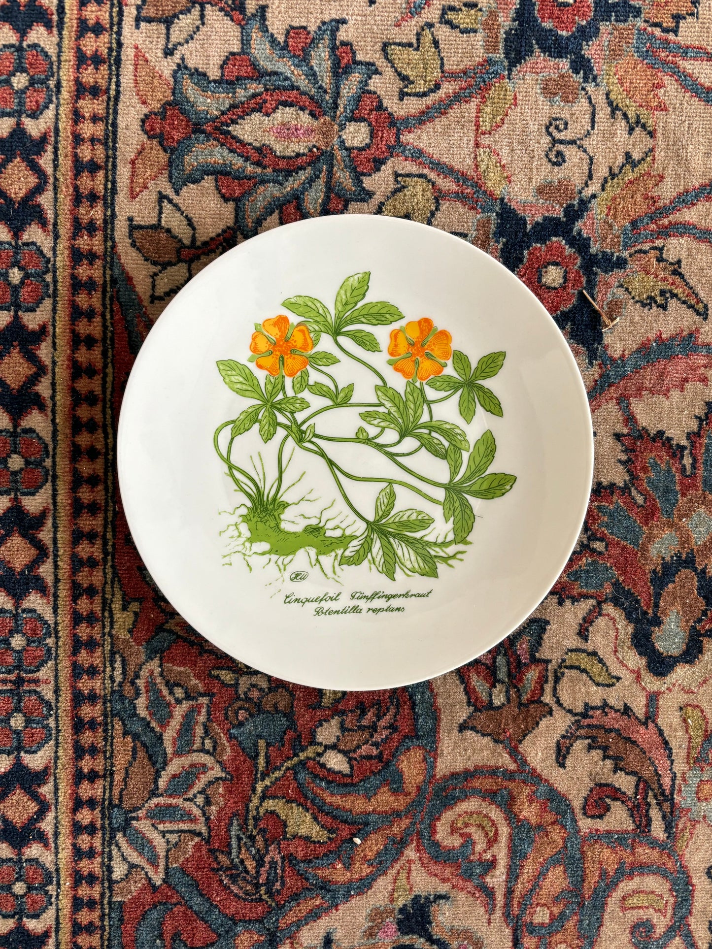 Cinquefolia Plate
