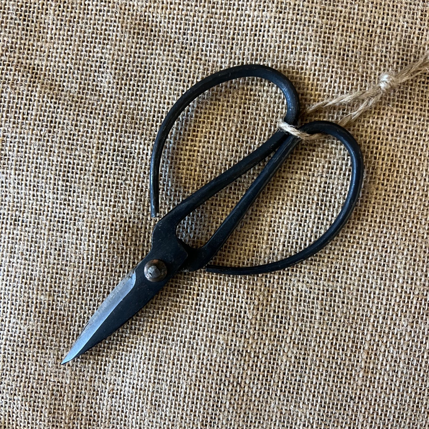 Scissors