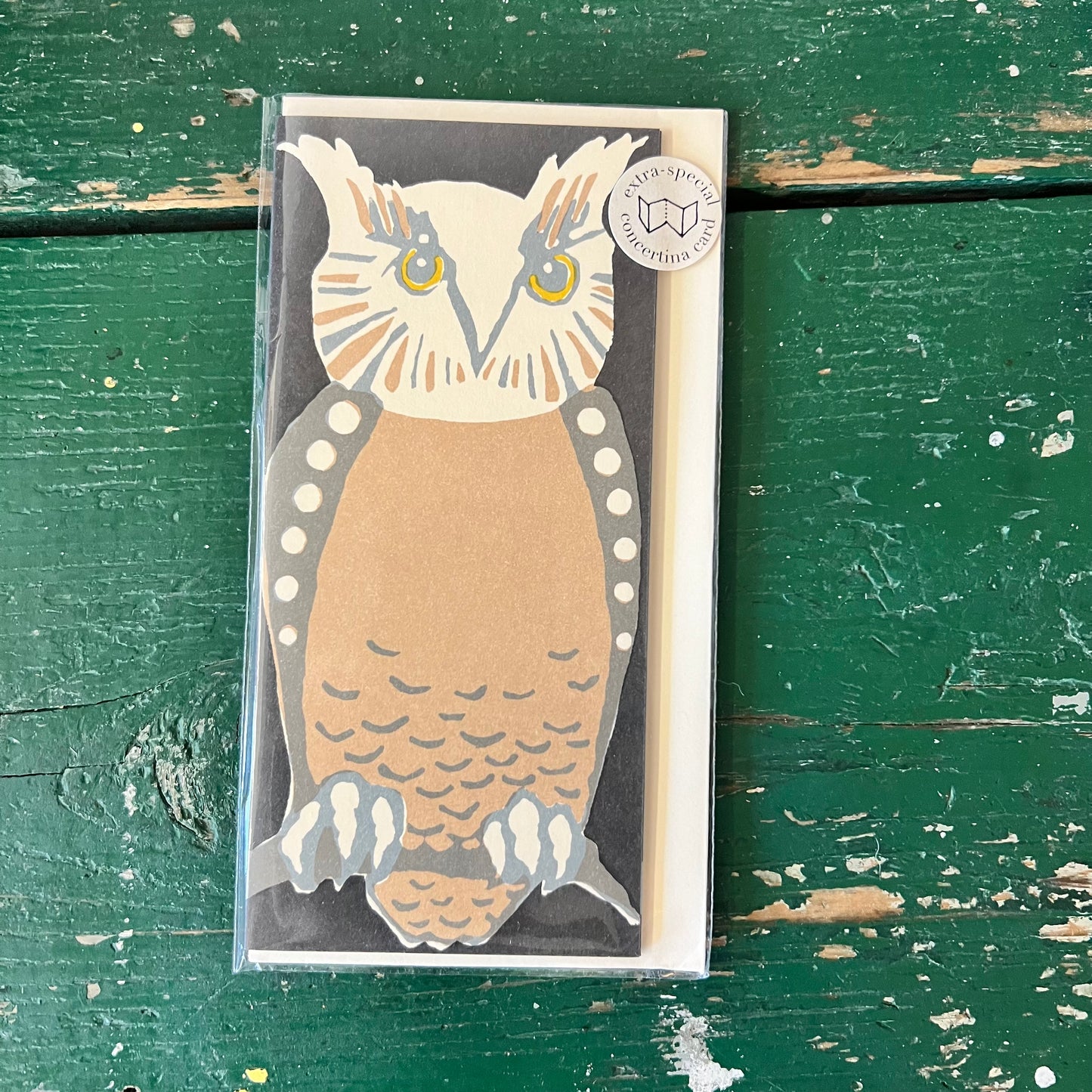 Wise Old Birds Concertine Card