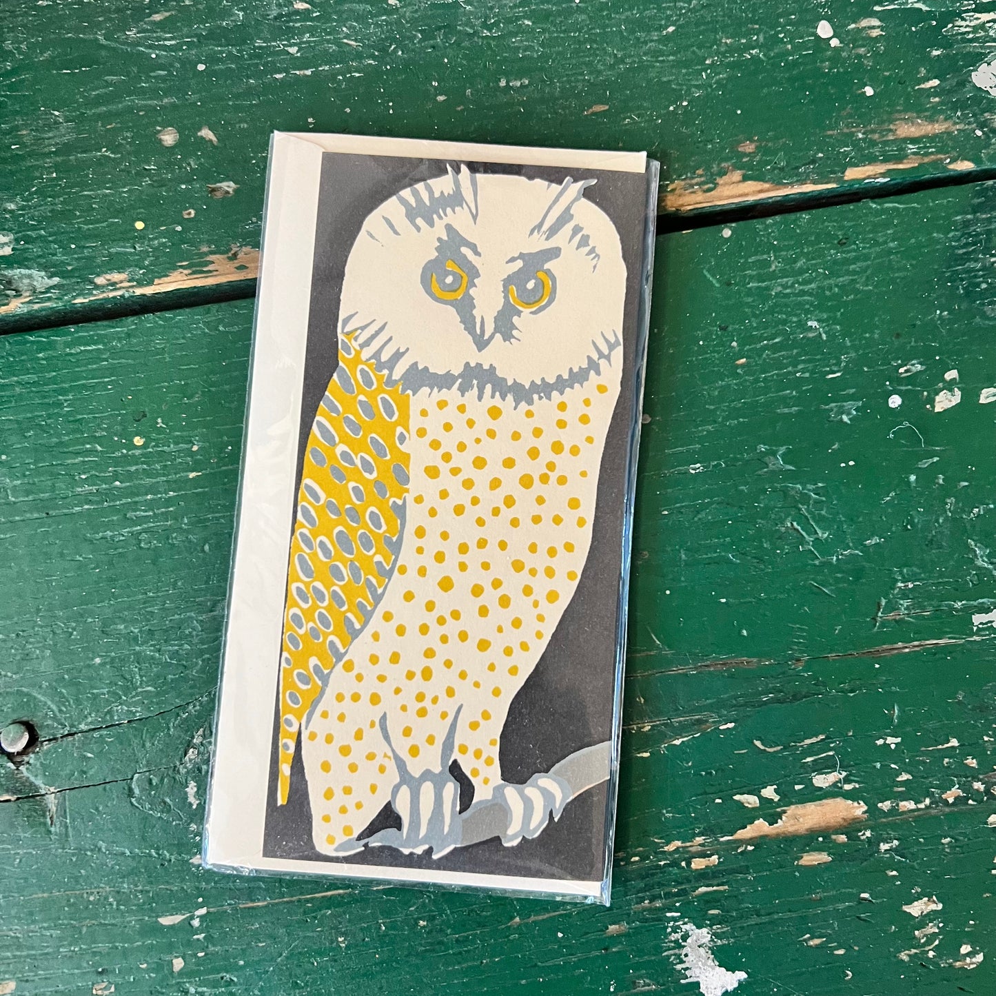 Wise Old Birds Concertine Card
