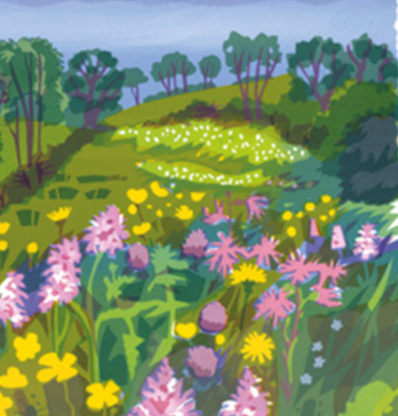 Meadow Card
