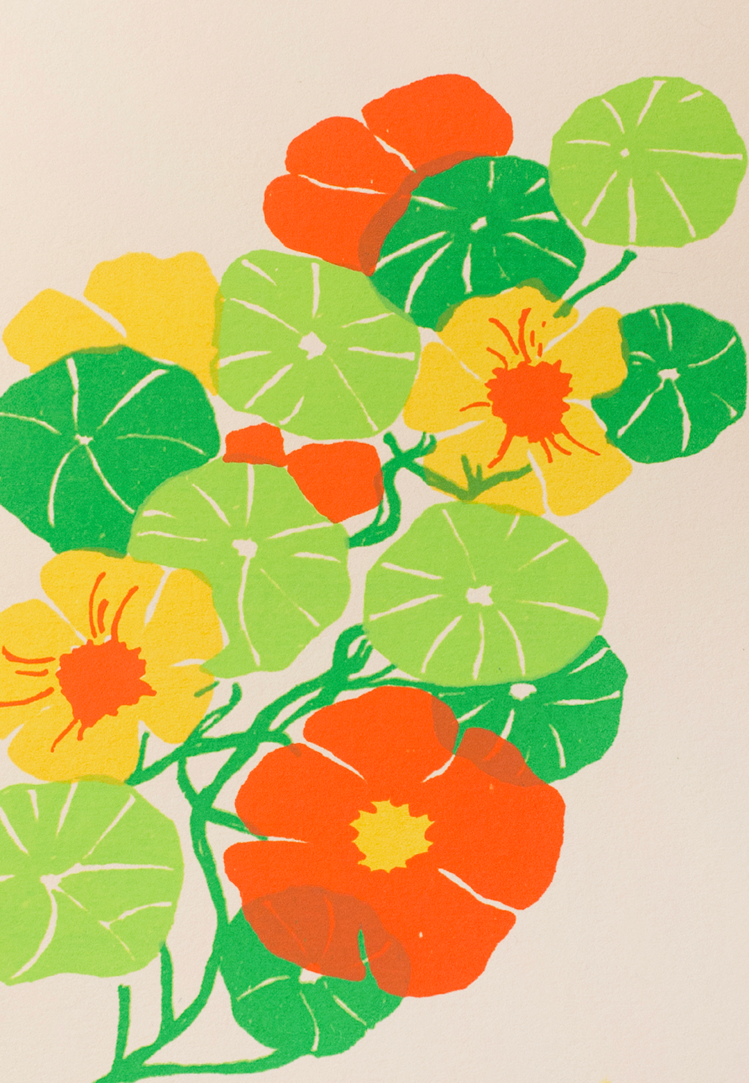 Nasturtium Card