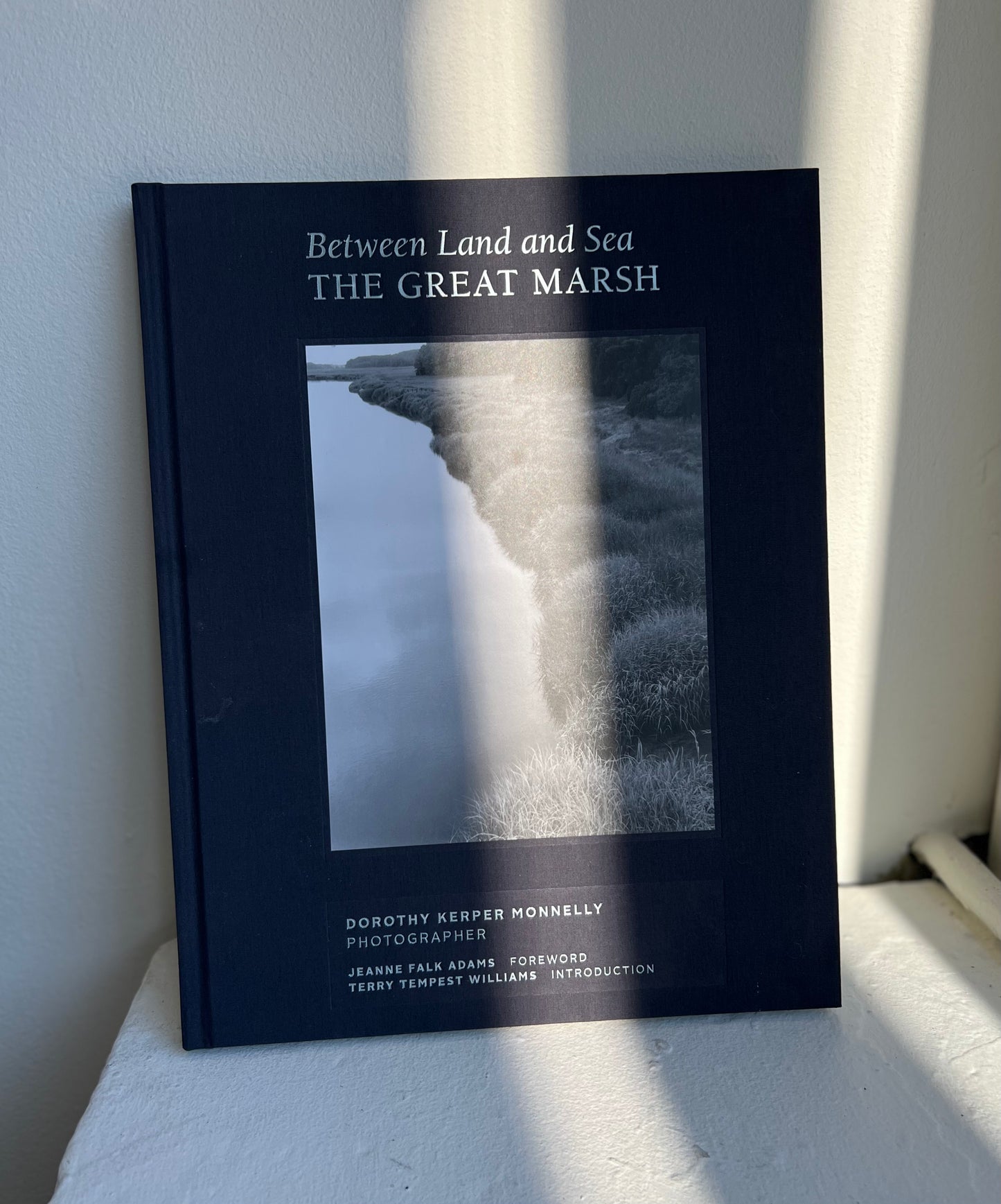 Between Land and Sea: The Great Marsh