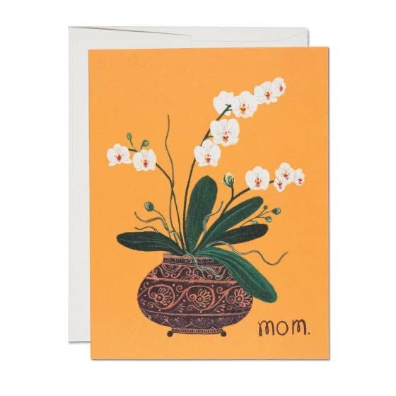 Orchid for Mom