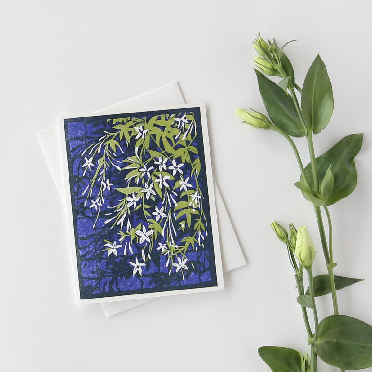 Climbing Jasmine Vine Card