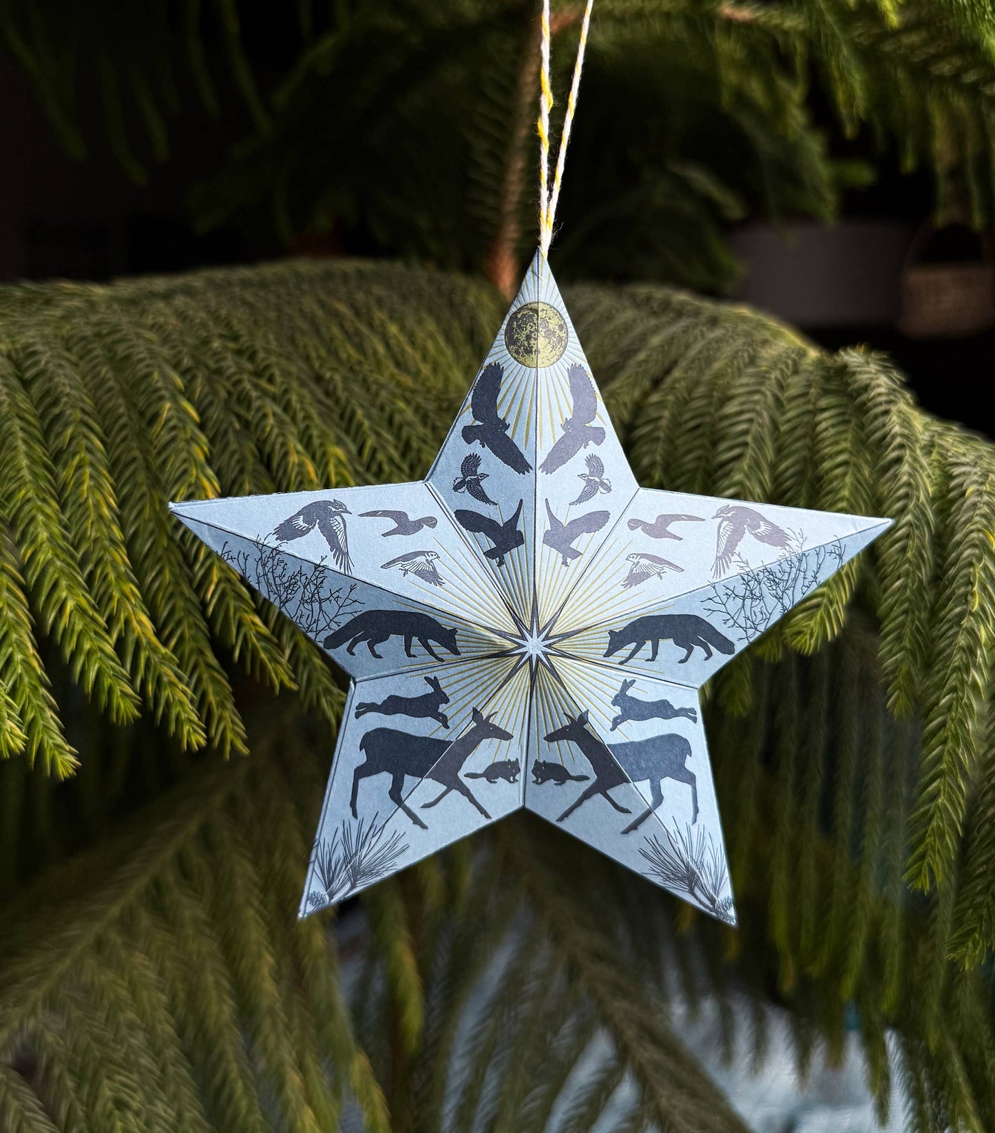 Holiday Solstice Star Kit