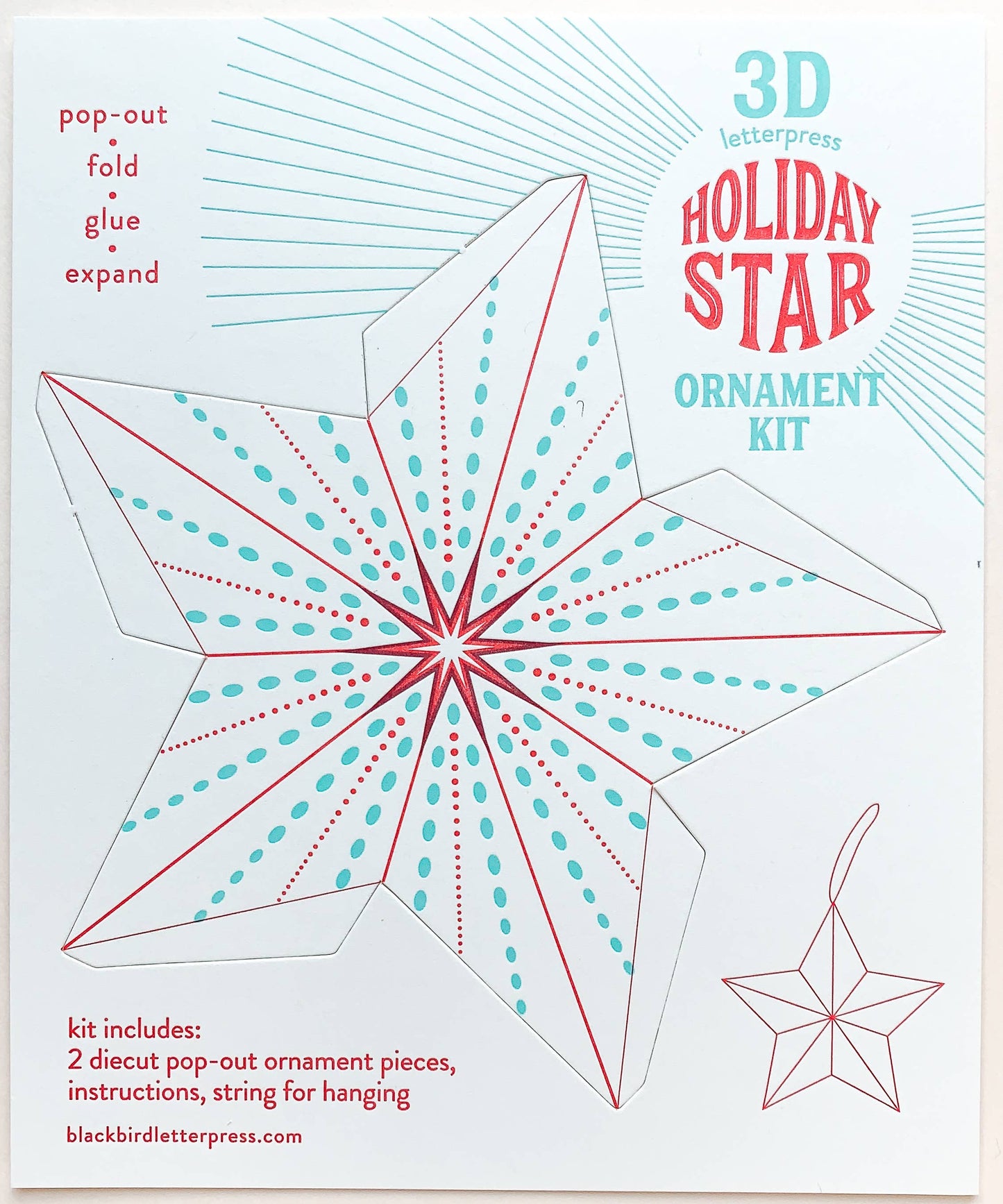 Holiday Star Ornament Kit