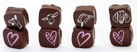 Chocolate Covered Goat Milk Caramel Valentine Hearts