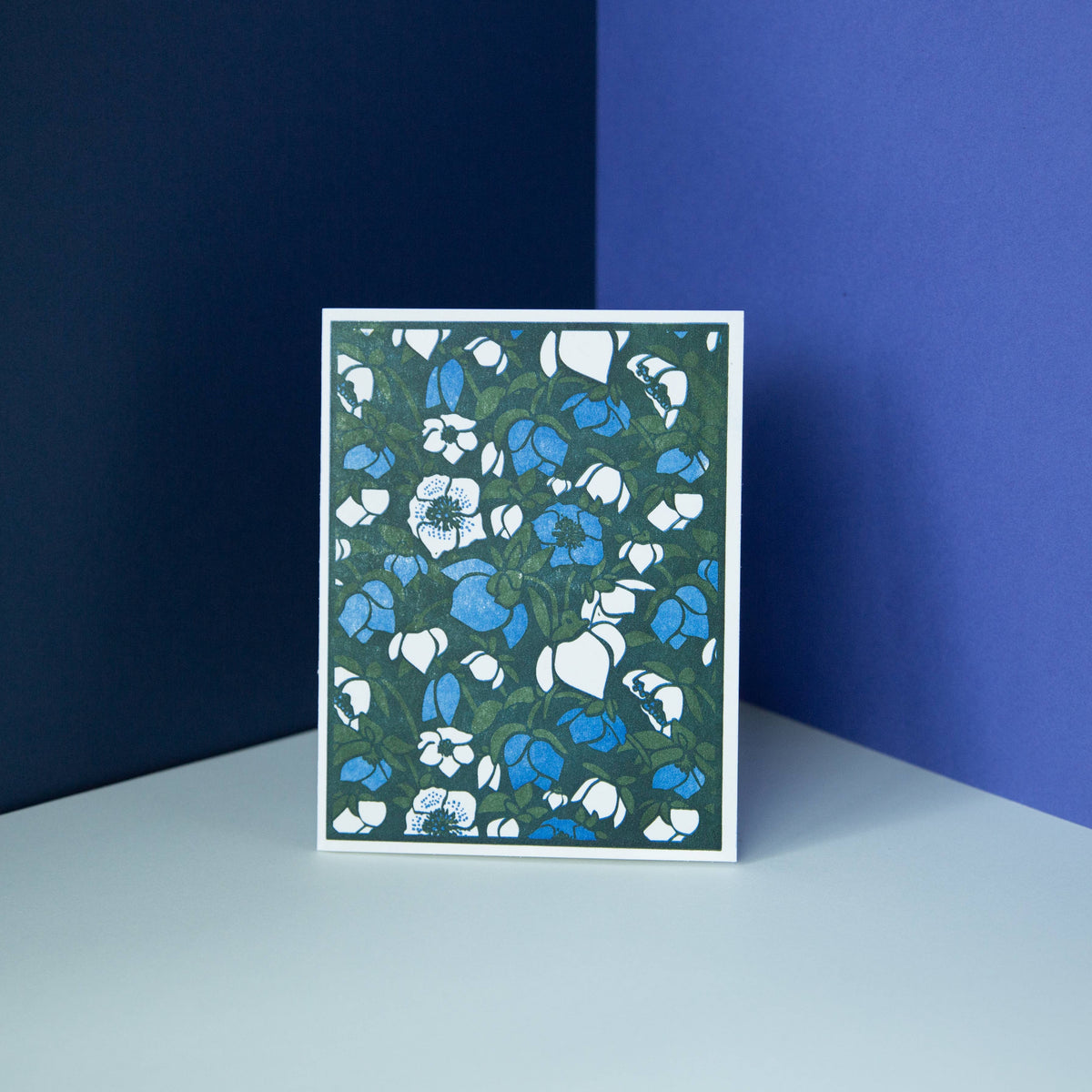 Winter Botanicals Letterpress Card Set