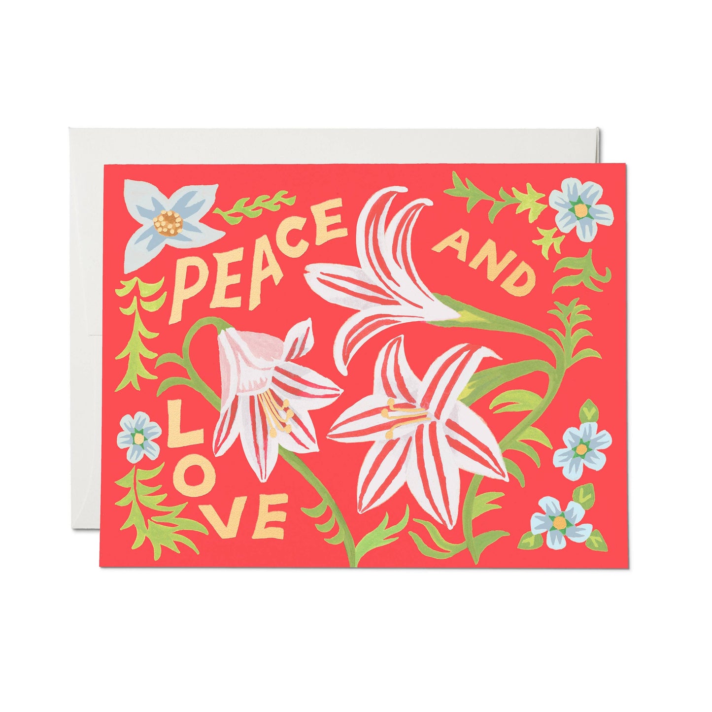 Peace and Love Amaryllis Box Set