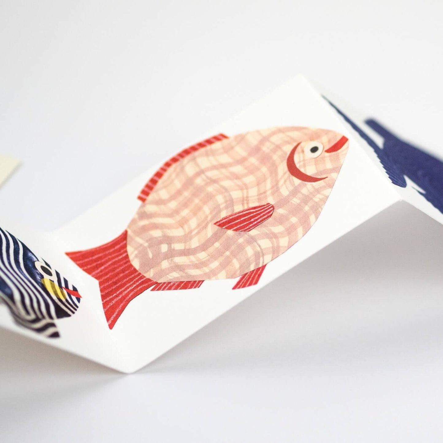 Fish Foldout Card