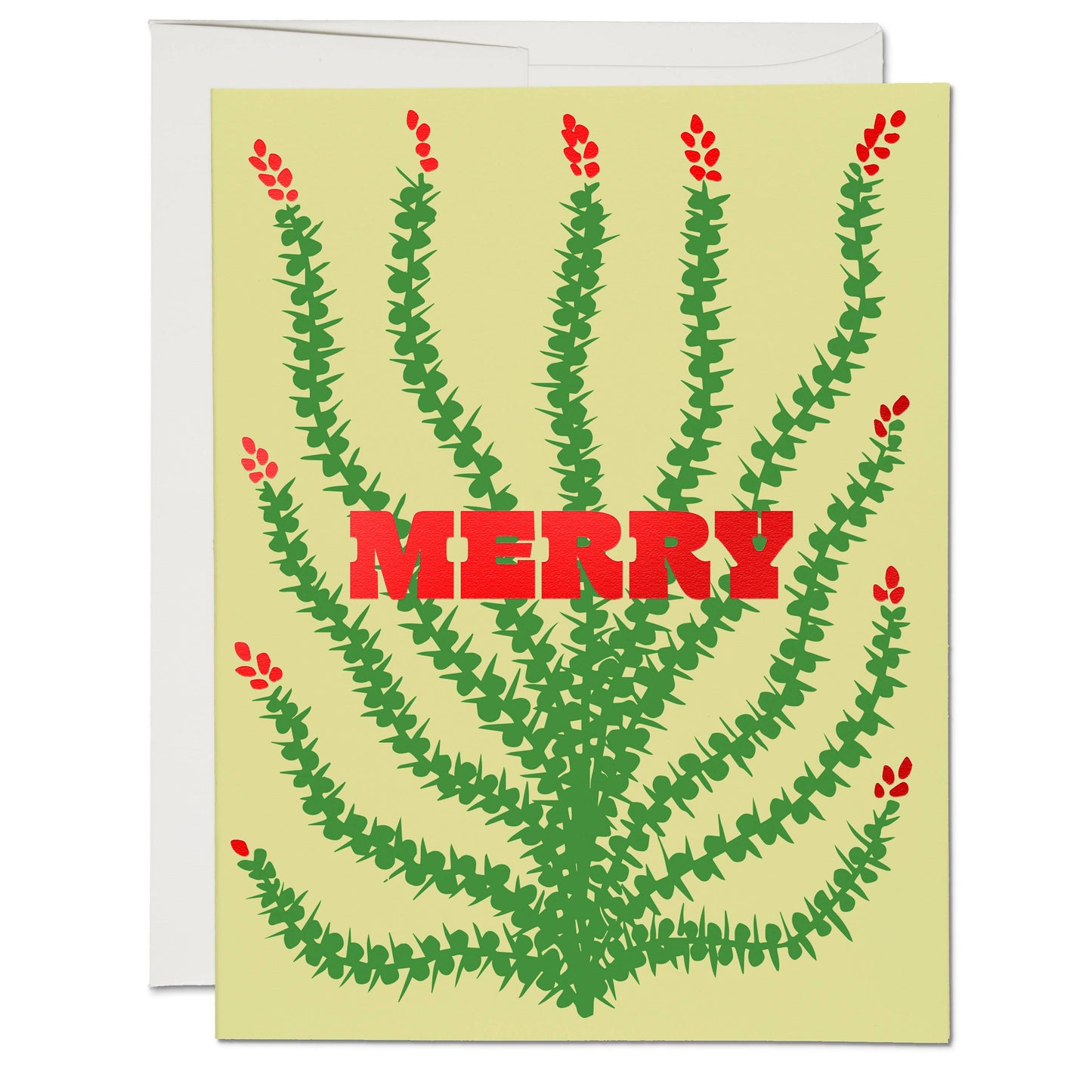 Merry Cactus