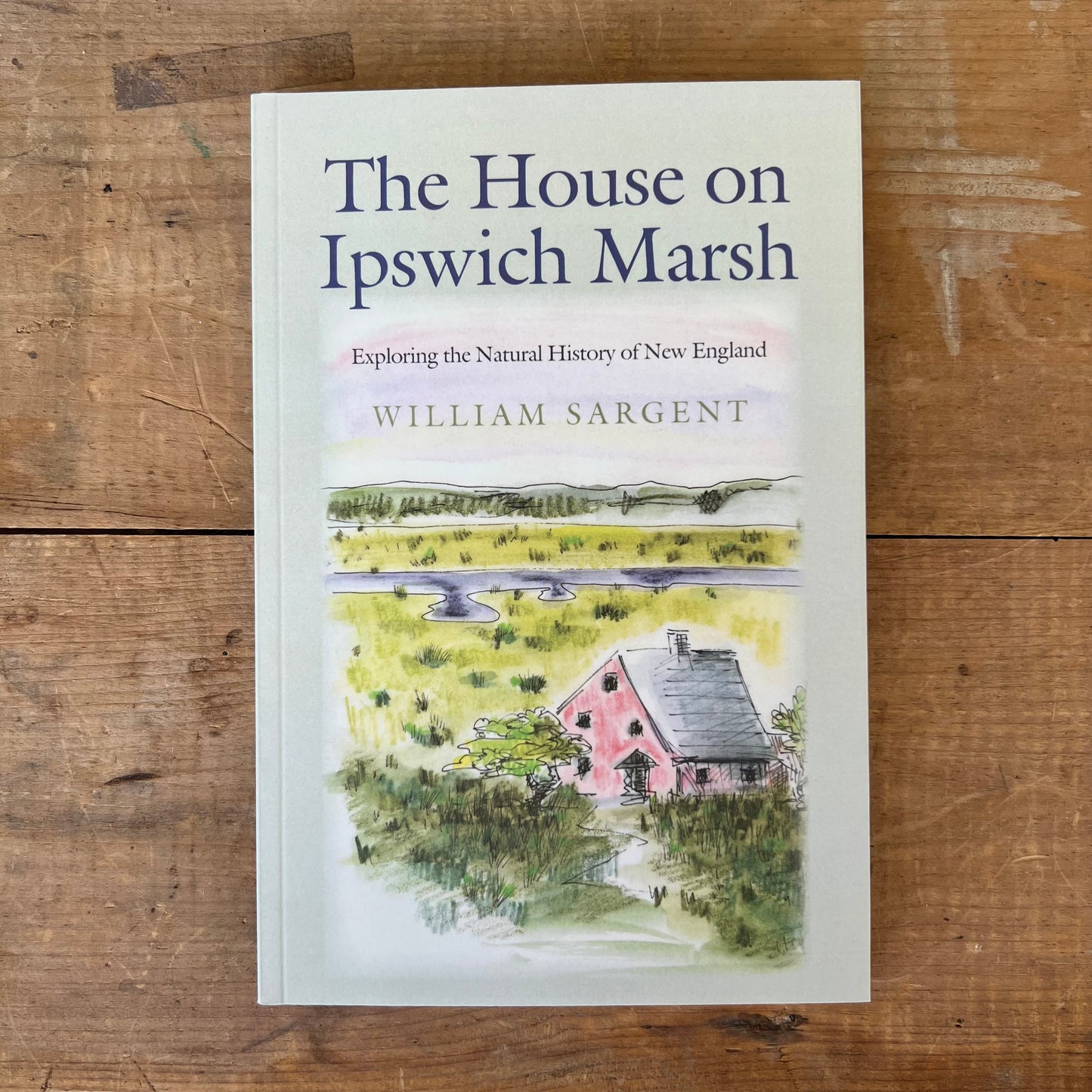 The House on Ipswich Marsh