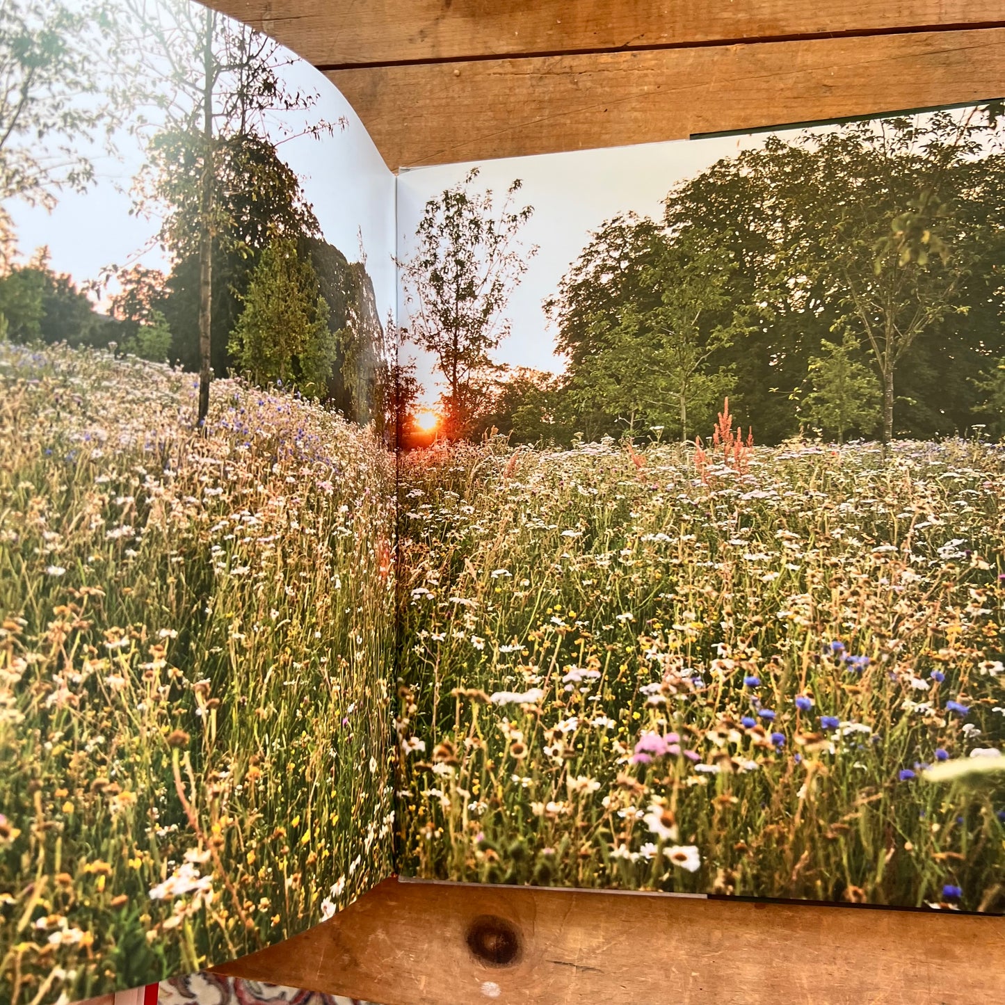 An English Vision