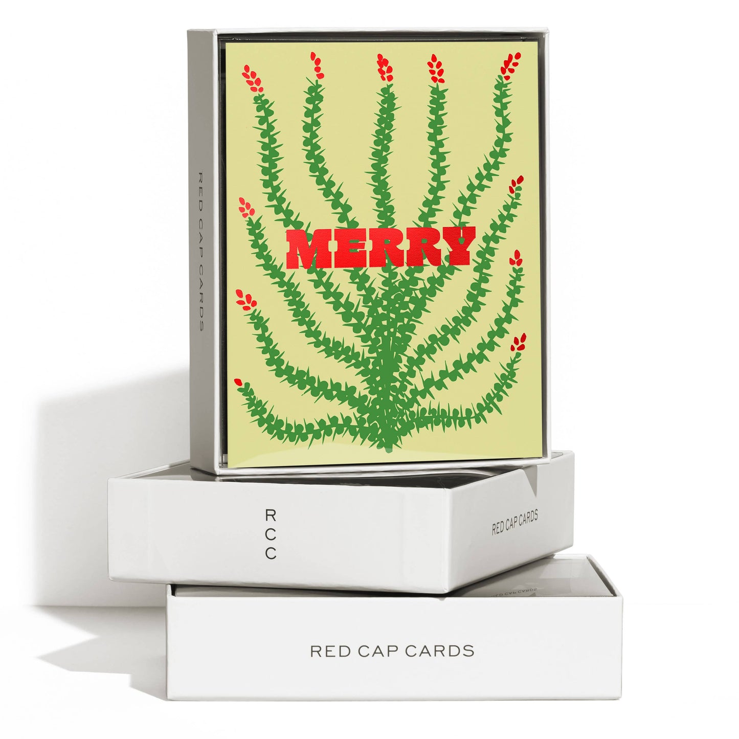 Merry Cactus