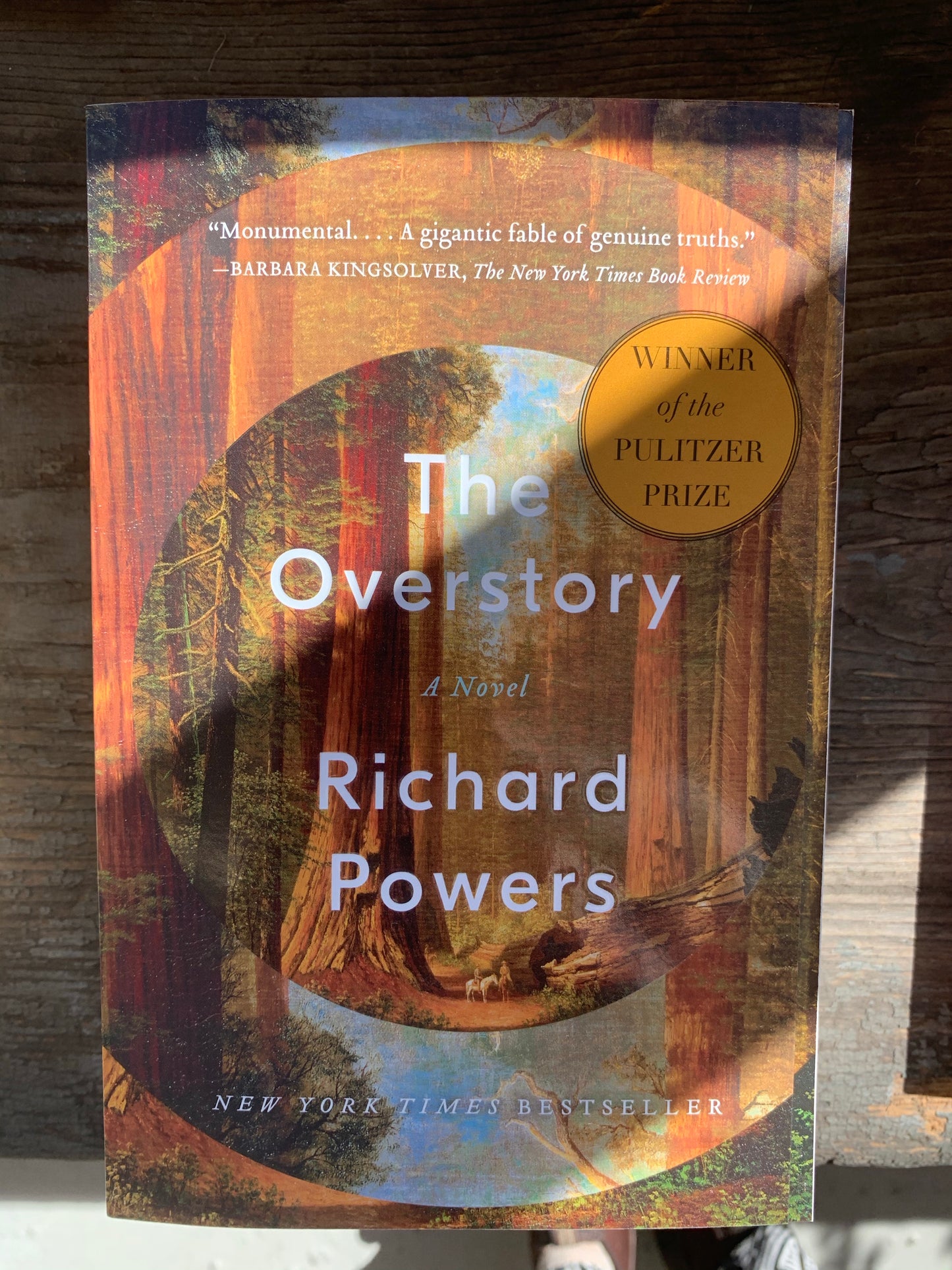 Overstory
