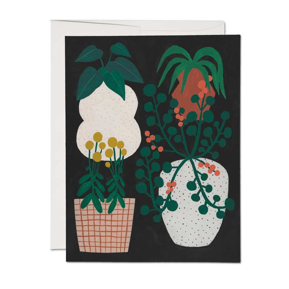 Houseplants
