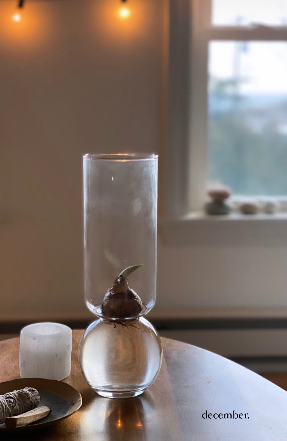 Bulb Vase